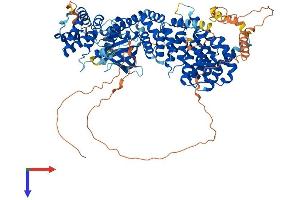 SMEK1 Protein (AA 1-833) (His tag)