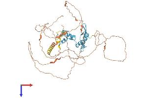 ZNF683 Protein (AA 1-524) (His tag)