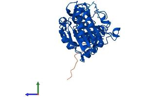 Protein Structure (PS) image for Alcohol Dehydrogenase 7 (Class IV), mu Or sigma Polypeptide (ADH7) (AA 1-386) protein (His tag) (ABIN7551982)