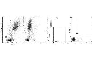 Clone B-ly8 (CD22) was analyzed by flow cytometry using a blood sample from a healthy volunteer. (CD22 Antikörper  (FITC))