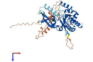 IP6K3 Protein (AA 1-396) (His tag)