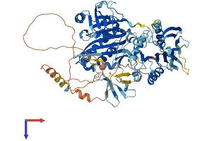 HLCS Protein (AA 1-726) (His tag)