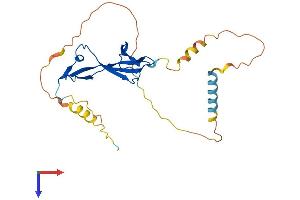 EAF2 Protein (AA 1-260) (His tag)