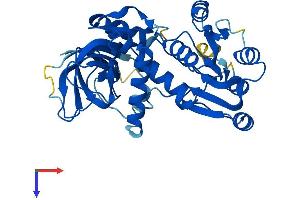 CRYZL1 Protein (AA 1-348) (His tag)