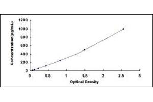 Typical standard curve (BMP10 ELISA Kit)