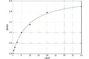 A typical standard curve