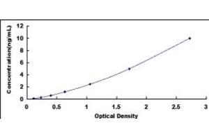 NFIB ELISA Kit