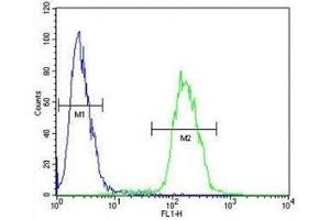 Anti-Myc antibody flow cytometric analysis of 293 cells (right histogram) compared to a negative control cell (left histogram). (c-MYC Antikörper  (AA 40-69))