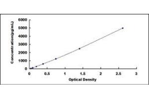 Typical standard curve (TIMP4 ELISA Kit)