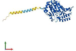 Protein Structure (PS) image for 5'-Nucleotidase, Cytosolic III (NT5C3) (AA 1-336) protein (His tag) (ABIN7551746)