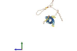 AlphaFold protein structure predicition of Mouse Recombinant Ms4a8 Protein, UniprotID Q99N10