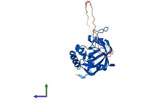 Protein Structure (PS) image for Thymocyte Nuclear Protein 1 (THYN1) (AA 1-226) protein (His tag) (ABIN7560105)