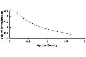 Cholecystokinin 8, Octapeptide (CCK8) ELISA Kit