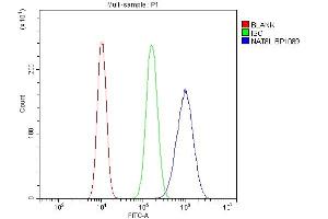 Flow Cytometry analysis of U20S cells using anti-NAT8L antibody (ABIN7602765). (NAT8L Antikörper  (C-Term))