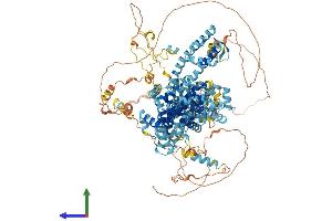 Protein Structure (PS) image for Transient Receptor Potential Cation Channel, Subfamily C, Member 2 (TRPC2) (AA 1-1172) protein (His tag) (ABIN7565199)