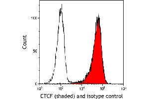 Flow Cytometry (FACS) image for anti-CCCTC-Binding Factor (Zinc Finger Protein) (CTCF) (AA 650-700) antibody (ABIN7453967) (Rekombinanter CTCF Antikörper  (AA 650-700))