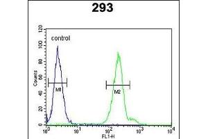 CRELD2 Antibody (C-term) (ABIN653131 and ABIN2842709) flow cytometric analysis of 293 cells (right histogram) compared to a negative control cell (left histogram). (CRELD2 Antikörper  (C-Term))