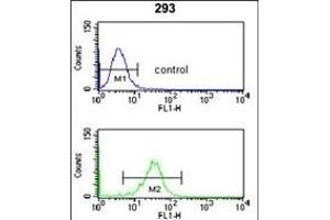 NU Antibody (N-term) (ABIN653061 and ABIN2842662) flow cytometry analysis of 293 cells (bottom histogram) compared to a negative control cell (top histogram). (NUP153 Antikörper  (N-Term))