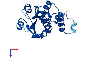 TPRKB Protein (AA 1-175) (His tag)