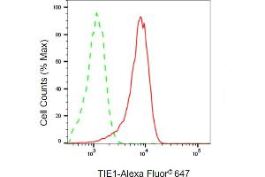 Flow cytometric analysis of TIE1 expression in HepG2 cells using TIE1 antibody (ABIN7800700), 1:2,000). (TIE1 Antikörper)