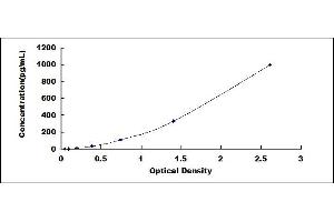 Typical standard curve (GM-CSF ELISA Kit)