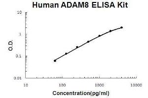 Human ADAM8 PicoKine ELISA Kit standard curve