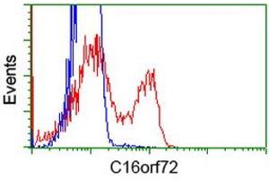 HEK293T cells transfected with either RC214935 overexpress plasmid (Red) or empty vector control plasmid (Blue) were immunostained by anti-C16orf72 antibody (ABIN2452856), and then analyzed by flow cytometry. (C16orf72 Antikörper)