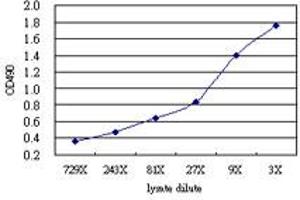 Sandwich ELISA detection sensitivity ranging from approximately 729x to 3x dilution of the FASLG 293T overexpression lysate (non-denatured).