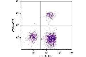 Chicken peripheral blood lymphocytes were stained with Mouse Anti-Chicken CD8α-CY5. (CD8 alpha Antikörper  (Cy5))