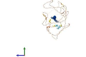 Protein Structure (PS) image for Brain-Enriched Guanylate Kinase-Associated (BEGAIN) (AA 1-600) protein (His tag) (ABIN7557877)