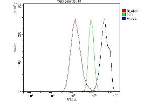 Flow Cytometry analysis of A549 cells using anti-MCM4 antibody (ABIN7601485). (MCM4 Antikörper  (AA 361-677))