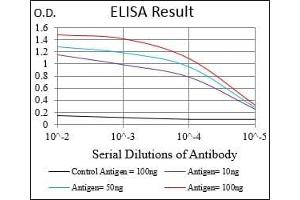 Black line: Control Antigen (100 ng), Purple line: Antigen(10 ng), Blue line: Antigen (50 ng), Red line: Antigen (100 ng), (MAPK7 Antikörper  (AA 411-556))
