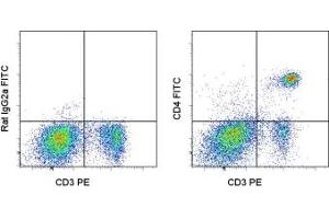 Image no. 1 for anti-CD4 (CD4) antibody (FITC) (ABIN474120) (CD4 Antikörper  (FITC))