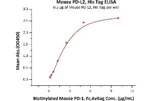 Immobilized Mouse PD-L2, His Tag (ABIN2870760,ABIN2870761) at 5 μg/mL (100 μL/well) can bind Biotinylated Mouse PD-1, Fc,Avitag (ABIN2870576,ABIN2870577) with a linear range of 0.