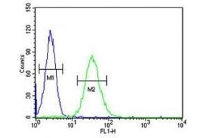 Flow Cytometry (FACS) image for anti-CD80 (CD80) (AA 260-288) antibody (ABIN3028553)