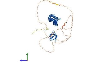 Protein Structure (PS) image for BAI1-Associated Protein 2-Like 2 (BAIAP2L2) (AA 1-522) protein (His tag) (ABIN7558431)