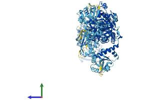AlphaFold protein structure predicition of Human Recombinant IARS1 Protein, UniprotID P41252