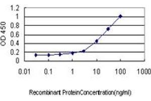 Detection limit for recombinant GST tagged SCYE1 is approximately 1ng/ml as a capture antibody. (AIMP1 Antikörper  (AA 1-312))