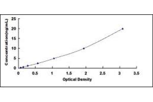 Urocanate Hydratase 1 (UROC1) ELISA Kit