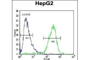ZC12A Antibody (Center) (ABIN654931 and ABIN2844574) flow cytometric analysis of HepG2 cells (right histogram) compared to a negative control cell (left histogram). (ZC3H12A Antikörper  (AA 331-358))