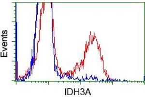 HEK293T cells transfected with either pCMV6-ENTRY IDH3A (RC200313) (Red) or empty vector control plasmid (Blue) were immunostained with anti-IDH3A mouse monoclonal (ABIN2453166), and then analyzed by flow cytometry. (IDH3A Antikörper)