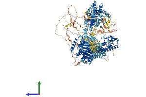 Protein Structure (PS) image for Lysine (K)-Specific Demethylase 5D (KDM5D) (AA 1-1548) protein (His tag) (ABIN7563958)