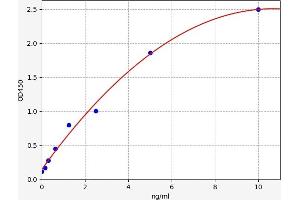 phospholipase A2 Receptor 1, 180kDa (PLA2R1) ELISA Kit