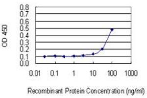 Detection limit for recombinant GST tagged RPL17 is 3 ng/ml as a capture antibody.