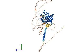 Protein Structure (PS) image for WEE1 Homolog 2 (S. Pombe) (WEE2) (AA 1-567) protein (His tag) (ABIN7556051)