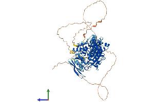 Protein Structure (PS) image for Adenosine Deaminase, RNA-Specific, B1 (ADARB1) (AA 1-741) protein (His tag) (ABIN7555190)