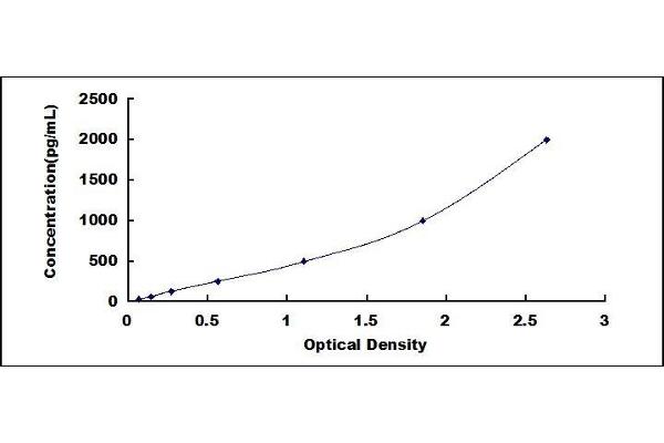 GAS6 ELISA Kit