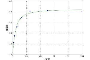Acid Phosphatase, Prostate (ACPP) ELISA Kit