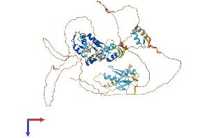 ZNF280C Protein (AA 1-737) (His tag)