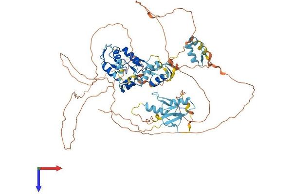 ZNF280C Protein (AA 1-737) (His tag)